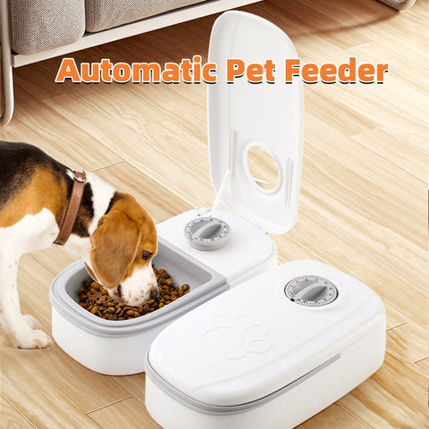 Automatic Pet Feeder with Timer - Smart Food Dispenser for Cats & Dogs (Stainless Steel Bowl)